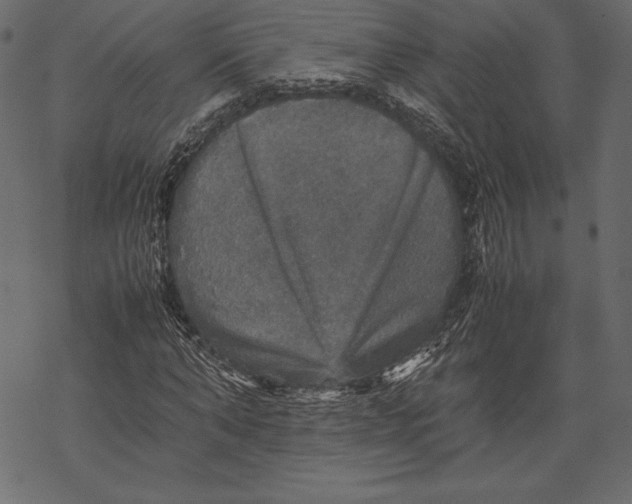 X0000067890870200605041550