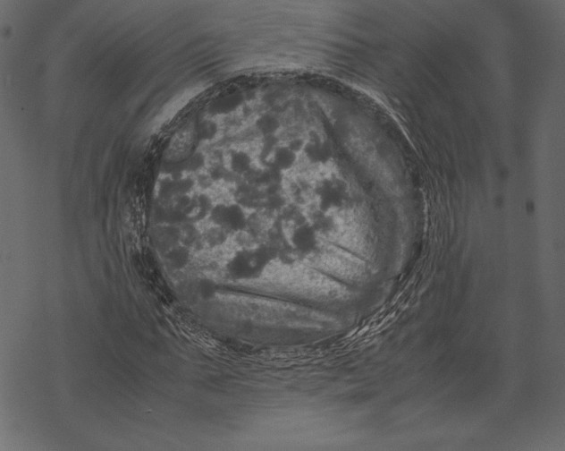 X0000067890871200605041550