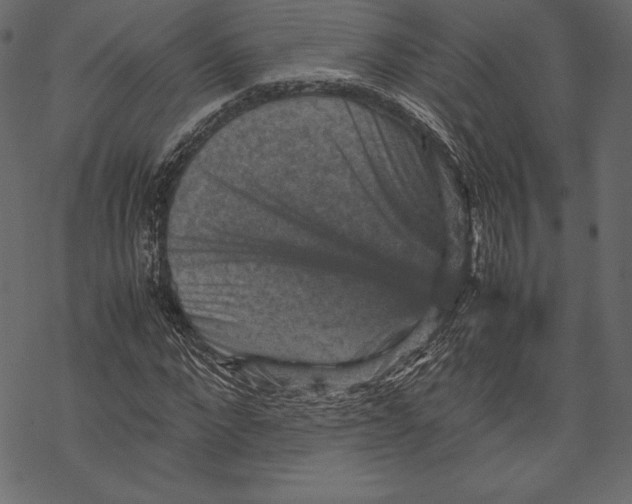 X0000067890872200605041550