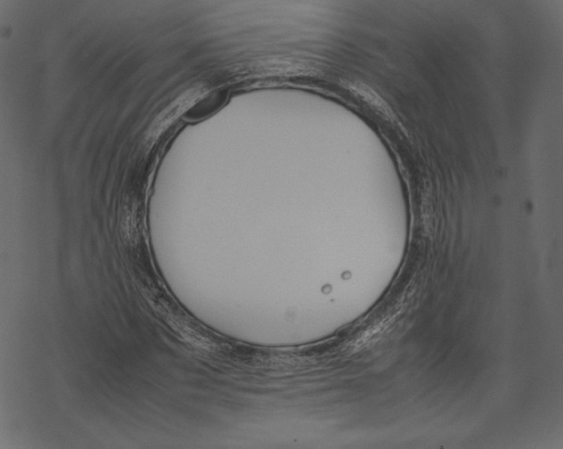 X0000067890873200605041550