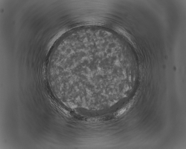 X0000067890875200605041550