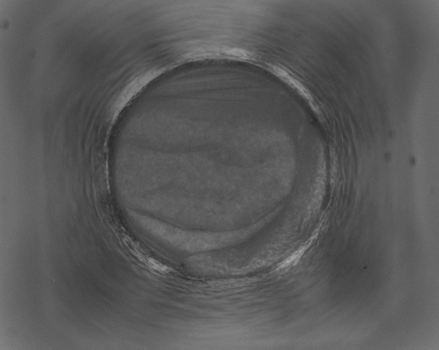 X0000067890877200605041550