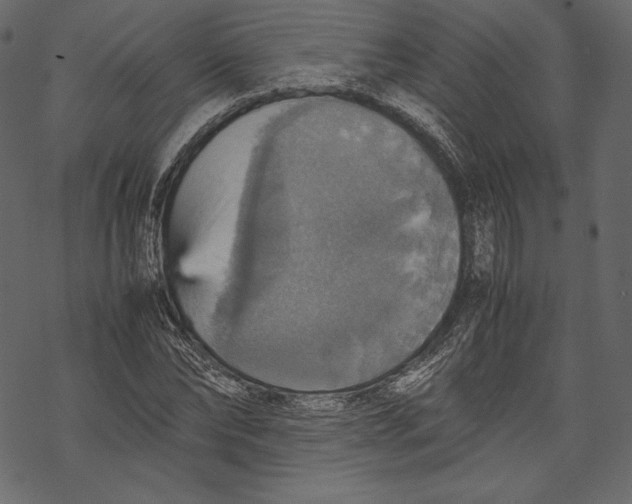 X0000067890878200605041550