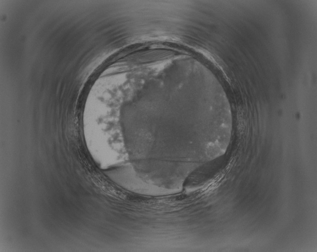 X0000067890879200605041550