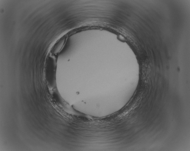 X0000067890880200605041550