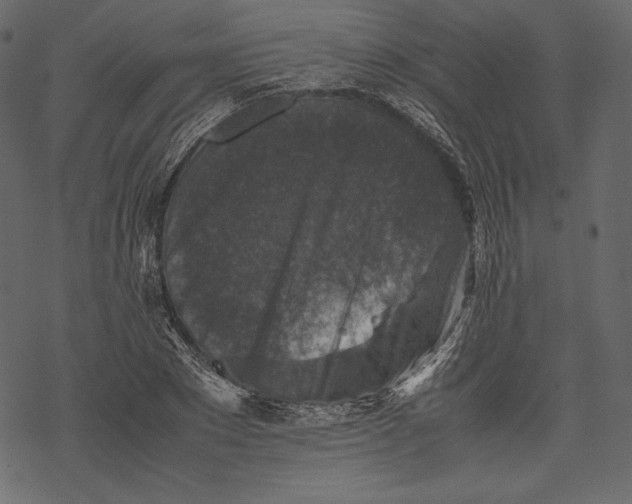 X0000067890881200605041549