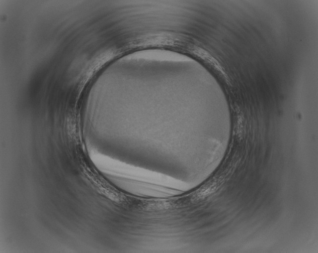 X0000067890882200605041549