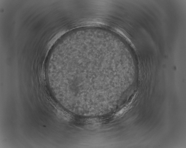 X0000067890883200605041549