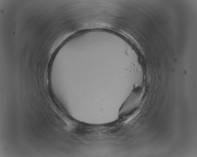 X0000067890885200605041549