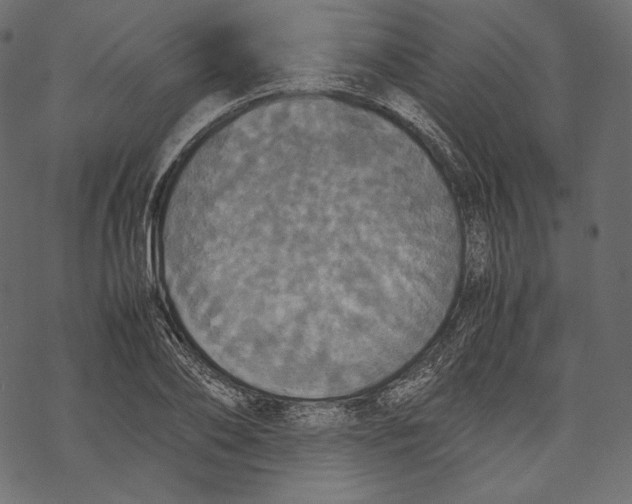 X0000067890886200605041549