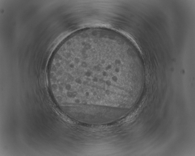 X0000067890887200605041549