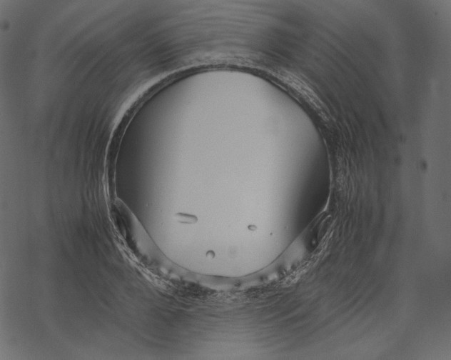 X0000067890888200605041549