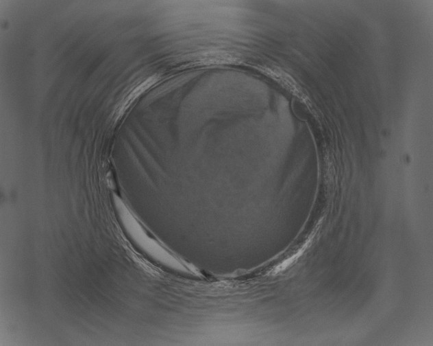 X0000067890889200605041549