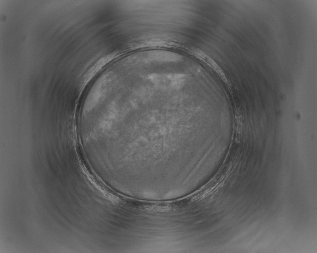 X0000067890890200605041549