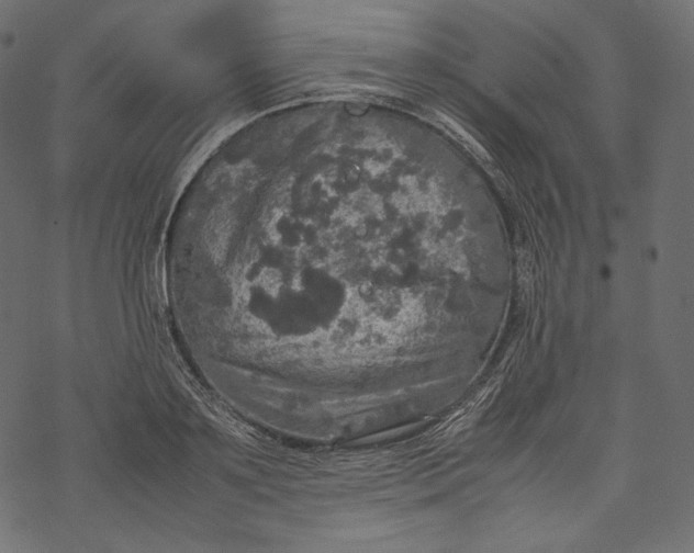 X0000067890891200605041549