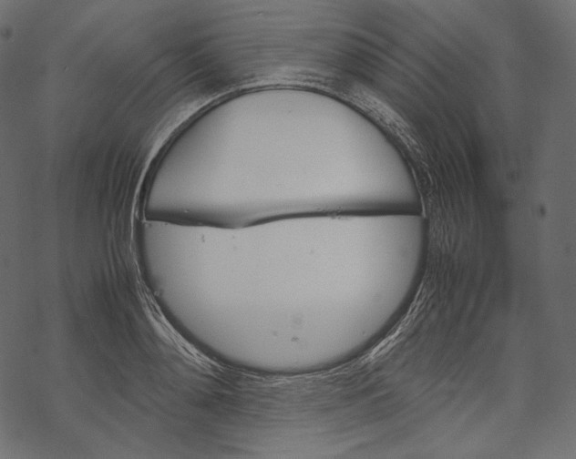 X0000067890892200605041549