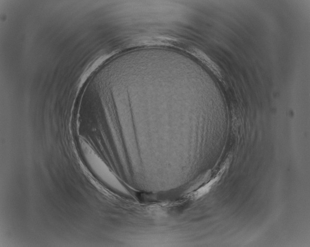 X0000067890893200605041549