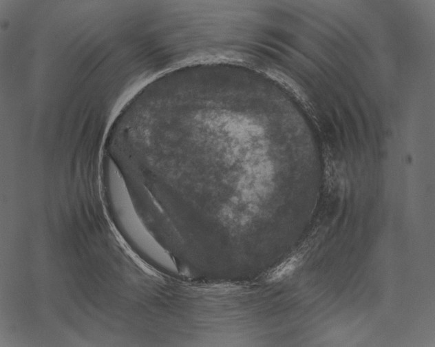 X0000067890894200605041549