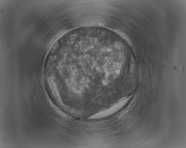 X0000067890895200605041549