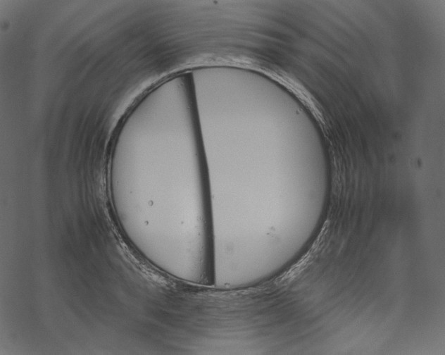 X0000067890896200605041549