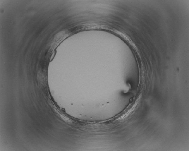 X0000067890897200605041549