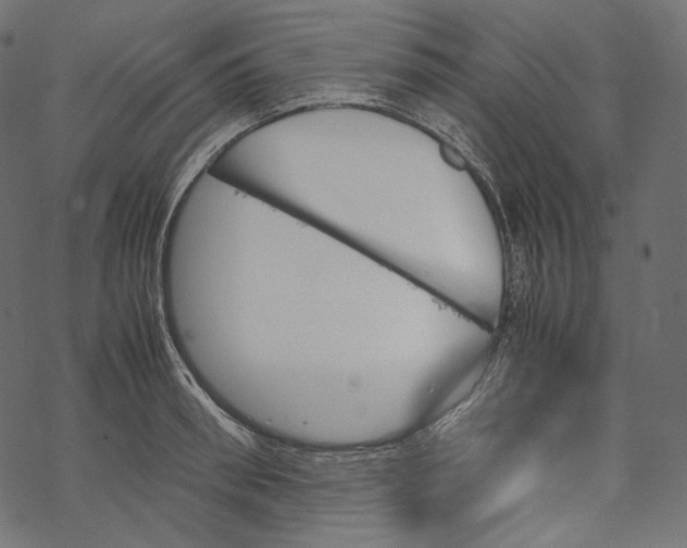 X0000067890898200605041549