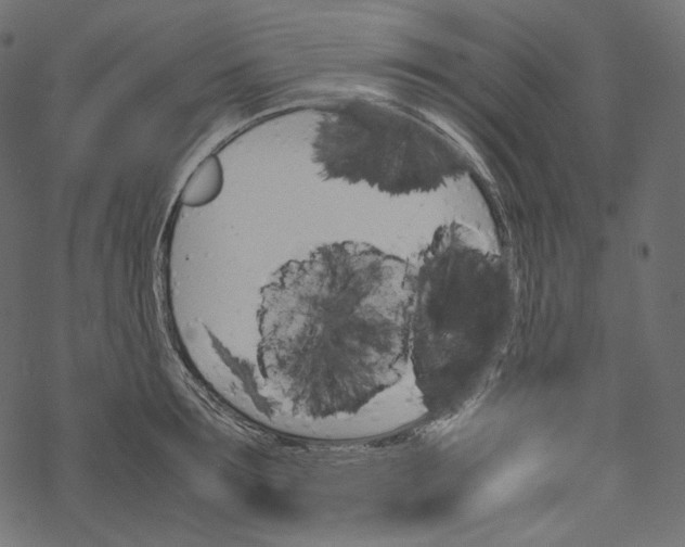 X0000067890899200605041549