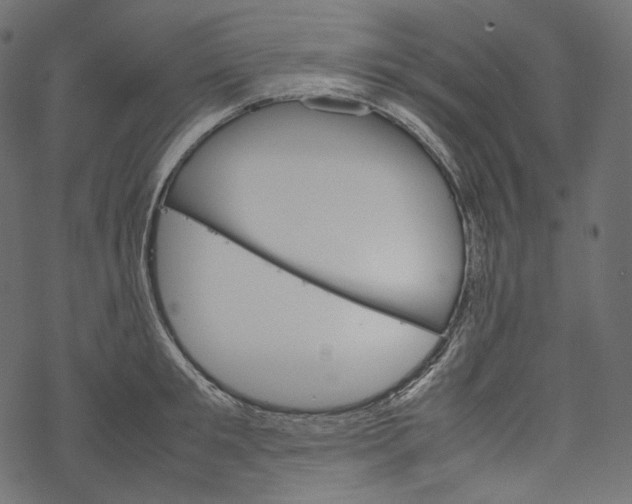 X0000067890901200605041549