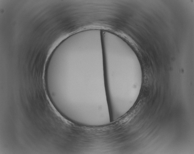 X0000067890902200605041549