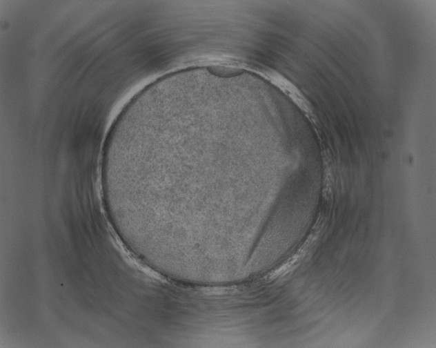 X0000067890904200605041549