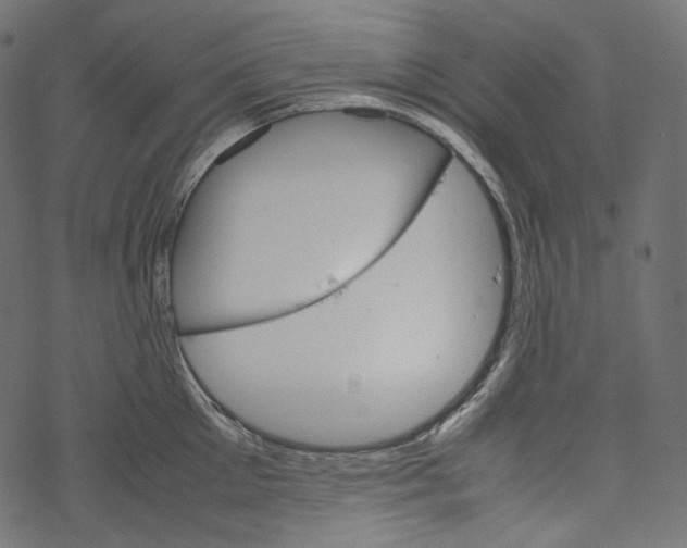 X0000067890905200605041549