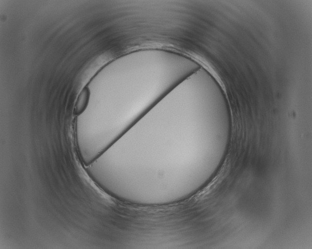 X0000067890906200605041549