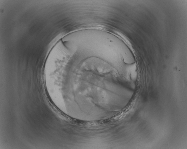 X0000067890907200605041549