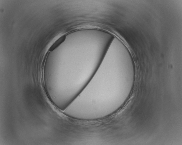 X0000067890909200605041549