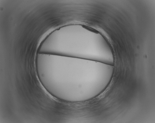 X0000067890910200605041549