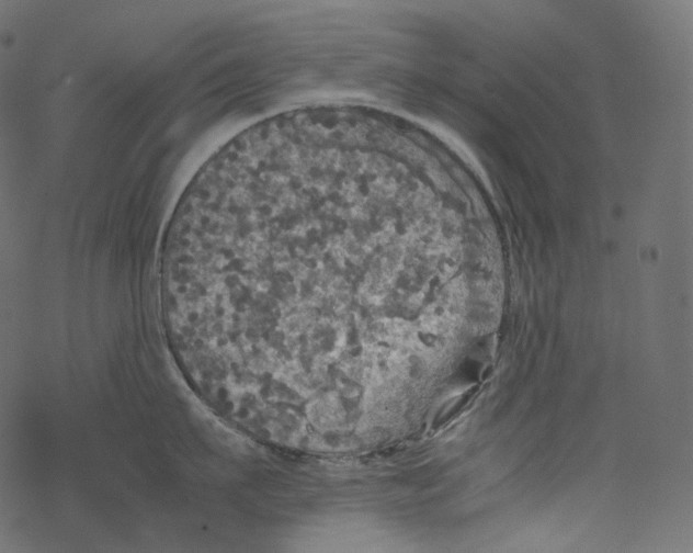 X0000067890911200605041549