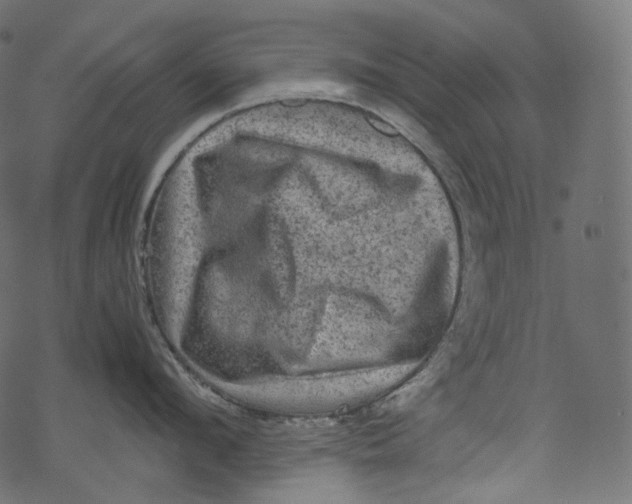 X0000067890912200605041549