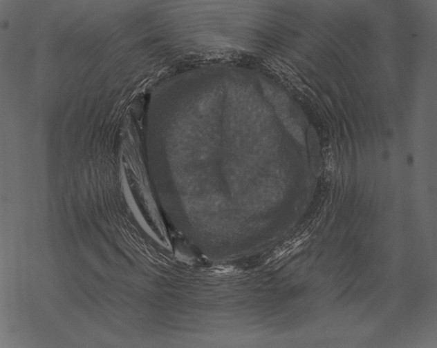 X0000067890916200605041548