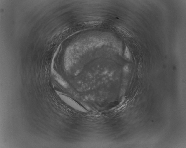 X0000067890917200605041548