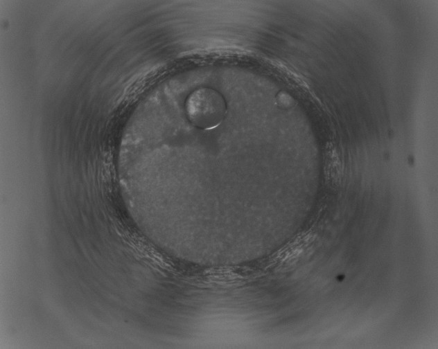 X0000067890918200605041548