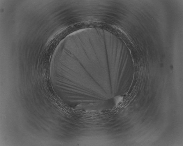 X0000067890919200605041548