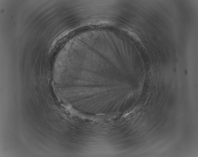 X0000067890920200605041548