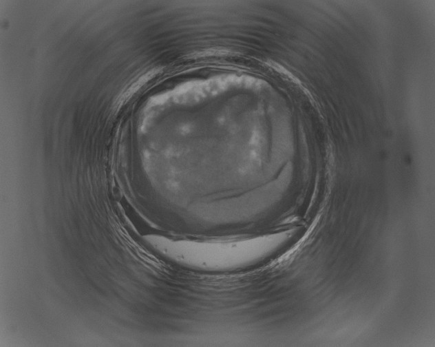 X0000067890921200605041548