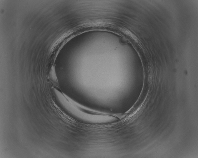 X0000067890922200605041548