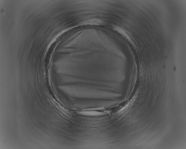 X0000067890923200605041548