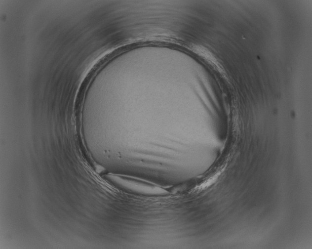 X0000067890924200605041548