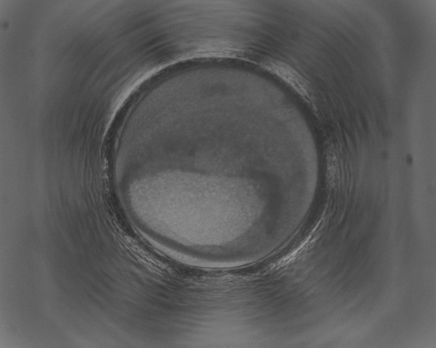 X0000067890926200605041548