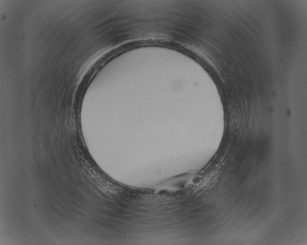 X0000067890927200605041548