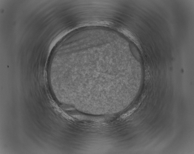 X0000067890928200605041548