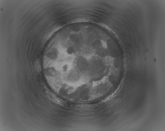 X0000067890929200605041548